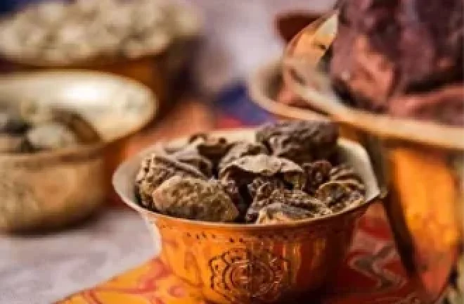 Фитотерапия Фитотерапия